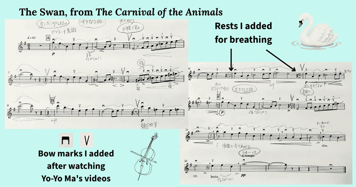 The score of The Swan with down-bow and up-bow marks, rests added for breathing, and handwritten practice notes