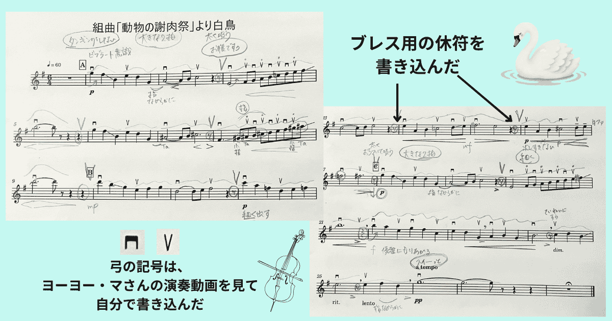 「白鳥」の楽譜に、下げ弓・上げ弓の記号、ブレス用の休符、練習のメモを書き込んだもの