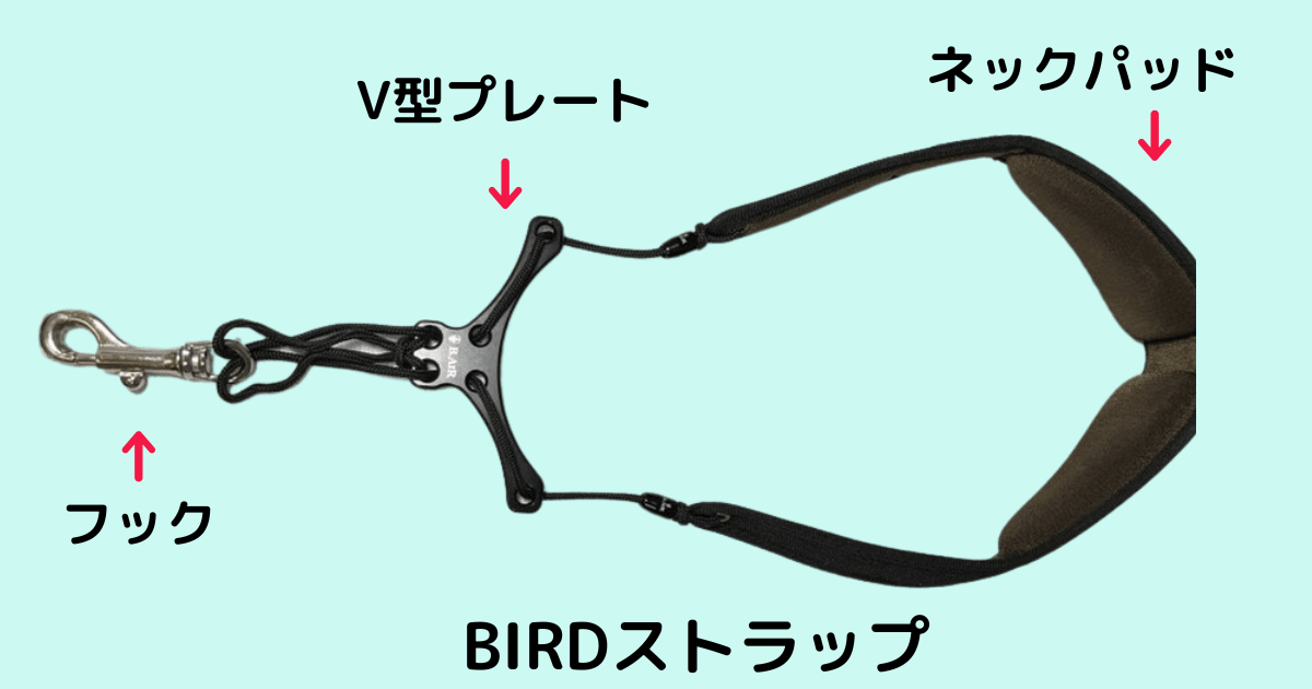 バードストラップの形状