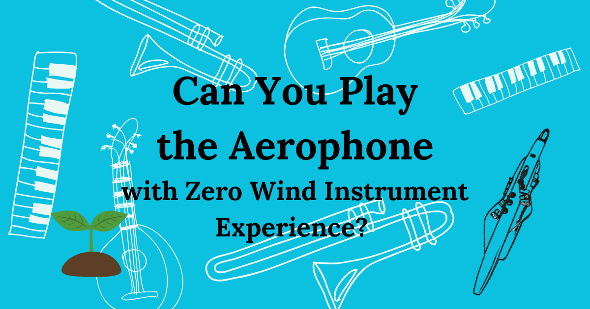 Can you play the Aerophone with zero experience?