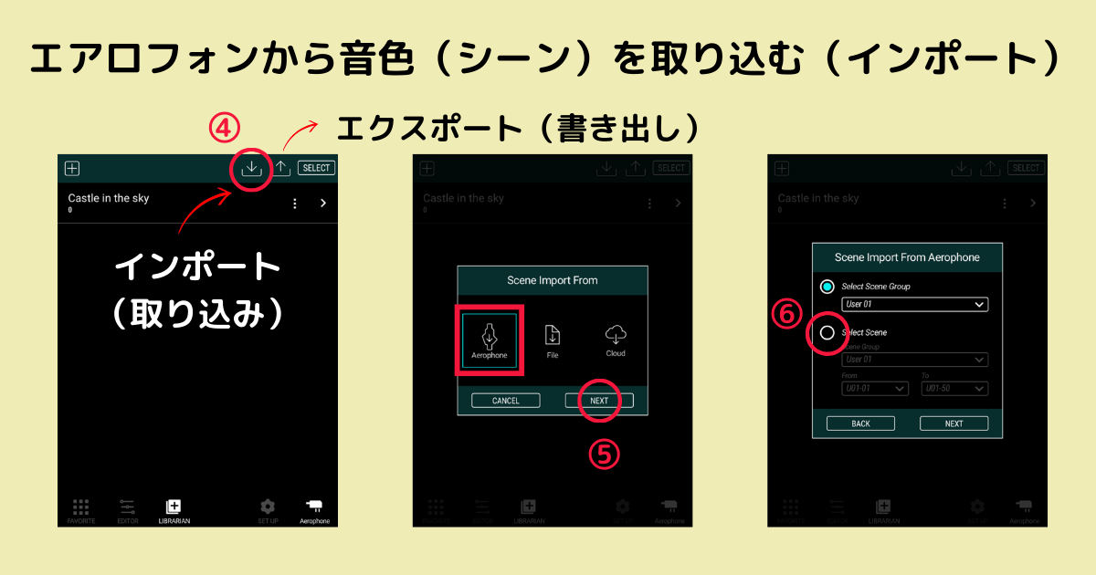シーン取り込み設定