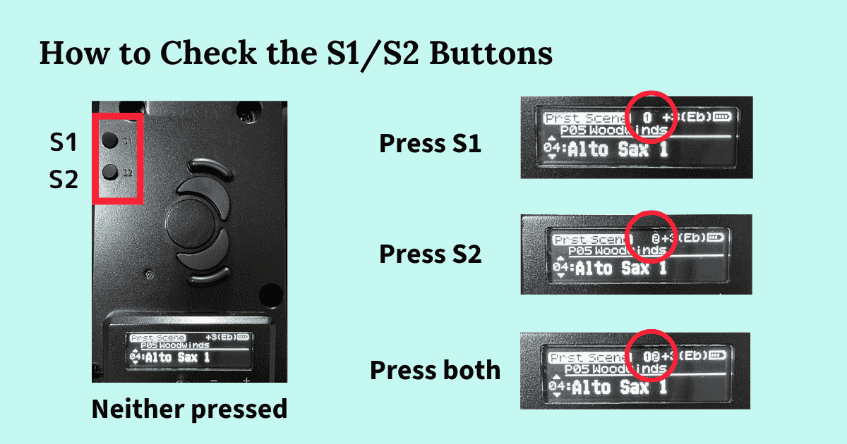 The S1 and S2 buttons, located just above and to the left of the octave key