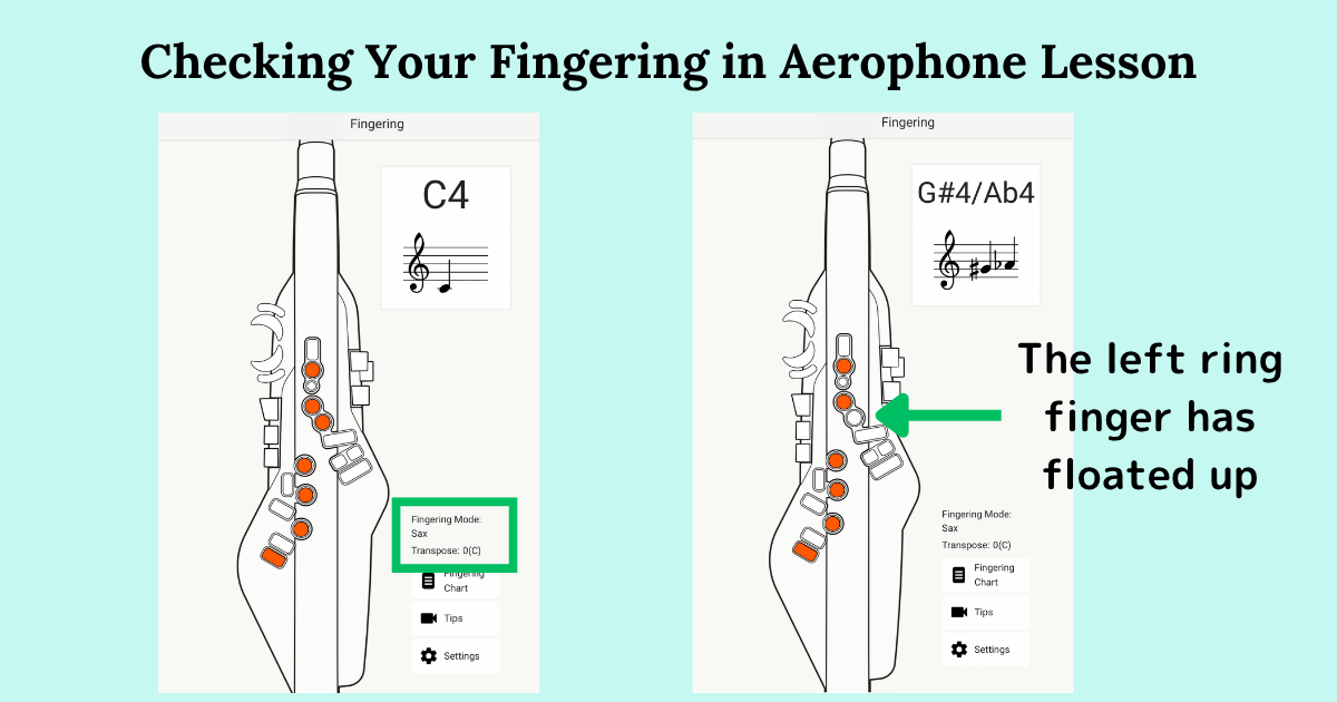 The key check screen in the Aerophone Lesson app