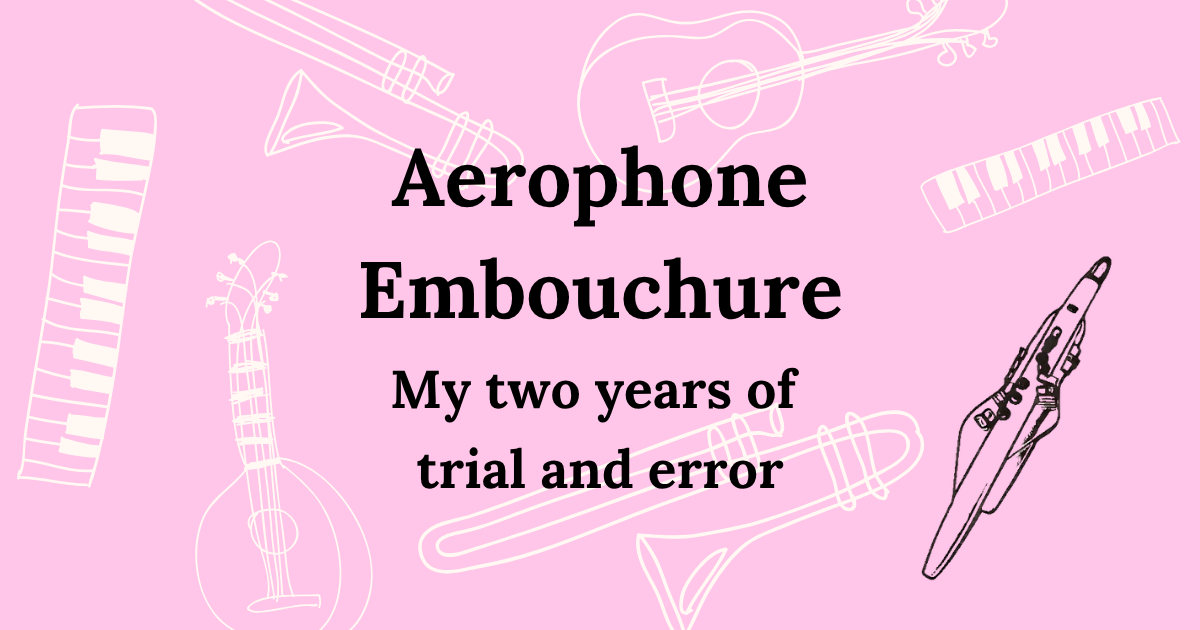 Aerophone embouchure: my two years of trial and error
