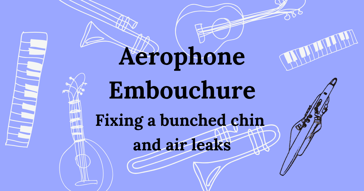 Aerophone embouchure, part 2: how I fixed chin tension and air leaks