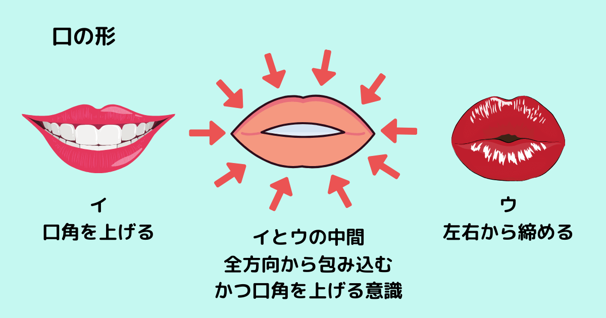 口輪筋でマウスピースを全方向から包み込むイメージ図
