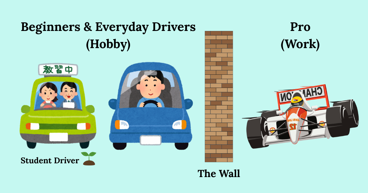 Illustration comparing an everyday driver and a professional driver