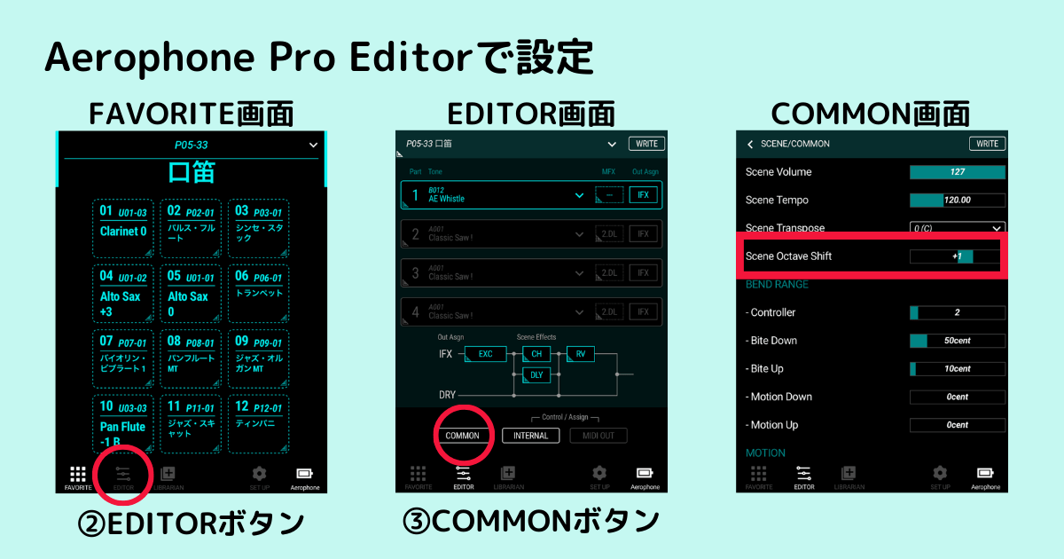 Aerophone Pro EditorのCOMMON画面