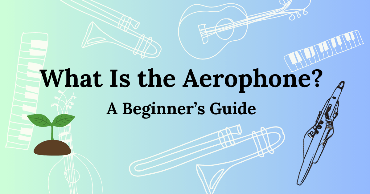 What is the Roland Aerophone?
