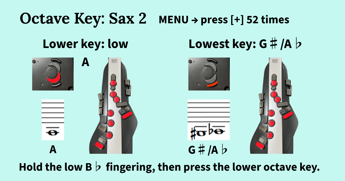 The lower octave keys of the Aerophone AE-20, below the thumb rest