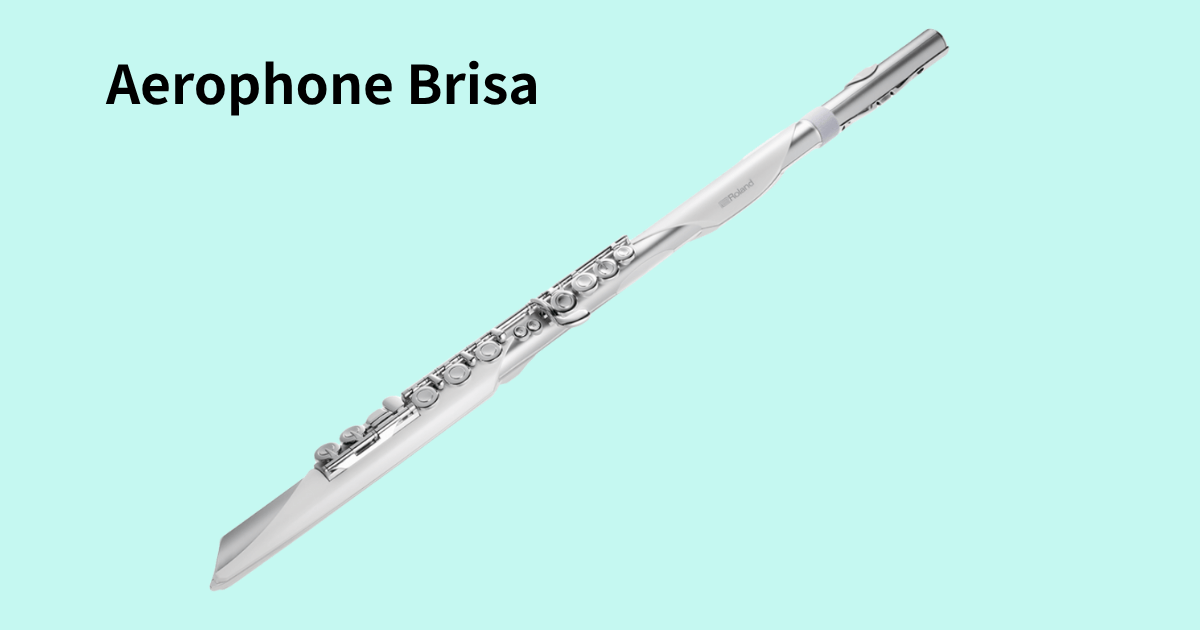 The Roland Aerophone Brisa, full view