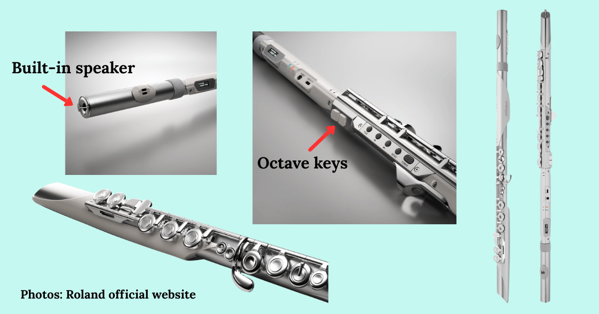 The mouthpiece of the Aerophone Brisa